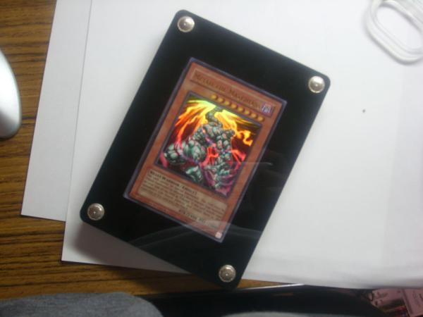 遊戯王 出品中】店頭同時出品中]WORLD CHAMPIONSHIP 2024(世界大会2024